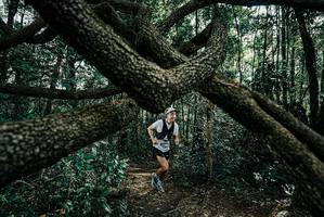 BIB: 
                            <button type="button" onclick="openModal(25663697)" class="btn btn-primary btn-sm float-right btn-popup" data-toggle="modal" data-target=".modal-high-quality">
                        <i class="fas fa-shopping-cart"></i> Add to Cart
                    </button>
                                            <button type="button" onclick="isThisMe(25663697, true)" class="btn btn-success btn-sm float-right btn-popup btn-isme hidden" data-toggle="tooltip" data-placement="bottom" title="นี่คือรูปของคุณใช่ไหม คลิกที่นี่เพื่อเอาเข้าอัลบั้ม">
                        <i class="fas fa-plus"></i> Add to album
                    </button>
                    <button type="button" onclick="isThisMe(25663697, false)" class="btn btn-warning btn-sm float-right btn-popup btn-isnotme hidden">
                        <i class="fas fa-ban"></i> Remove from album
                    </button>